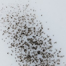 БРОВИ 1RLMT (h) 0.30